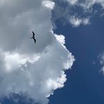 Angelika Klimek - Facebook