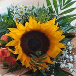 Angelika Klinger - @angik2320 - Instagram