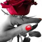 Angelika Knopp - Facebook
