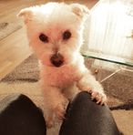 Angelika Knopp - Facebook