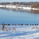 Angelika Knopp-Henselmann - @knopphenselmann - Instagram