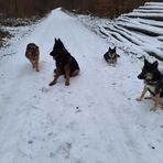 Angelika Lang - Facebook