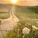 Angelika Lehr - Facebook