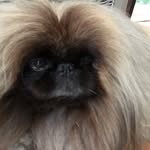Angelika Lloyd - @angelikalloyd6 - Instagram
