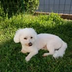 Angelika Lochner - Facebook