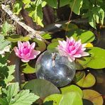 Angelika Lorenz - Facebook