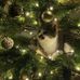 Angelika Łoś - Facebook