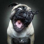Angelika Mack - Facebook