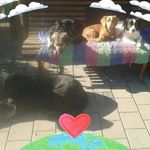 Angelika - @angelika.mader.16 - Instagram