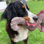 Angelika Madersbacher - @angelikamadersbacher - Instagram