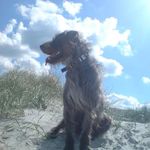 LuxxxusLuft - @angelika.mader1 - Instagram