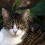 Angelika Meier - @angiavera - Instagram