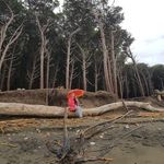 Angelika Meier-Bernowitz - @meierbernowitz - Instagram