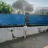 🦁 - @angelikang_ - TikTok