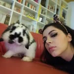 garibaldi - @garibaldiangelina385 - Instagram