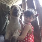 Angelina Godoy - Facebook