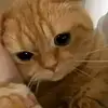 Angelina Good - @angelina.good8 - TikTok