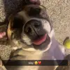 Angelina Gray - @angelina_gray012 - TikTok
