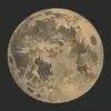 angelina_gregory - @angelina_gregory - TikTok