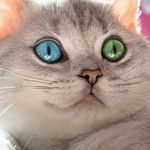 Angelina Griffith - @angelina.griffith.7771 - Instagram