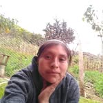 Angeline Ayala - @angeline.ayala.353 - Instagram