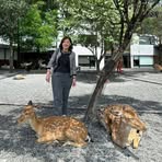 Angeline Cheah - Facebook