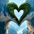 Angelique Collins - Facebook