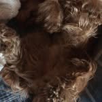 Angelo Acocella - @acocella.angelo - Instagram