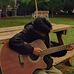 Angelo James Adams - Facebook