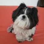 Angelo Agosti - Facebook