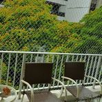 Condominio do Edificio Angelo Agostini - Facebook