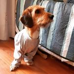 angelo aguiar - @angelo.aguiar_ - Instagram