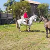 #Salasangelo🤠🤝🐎🤠 - @angelosalas05 - TikTok