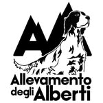 Alberti Angelo - @angelo_alberti_ - Instagram