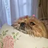 Angelo Alberti - @angelo.alberti91 - TikTok