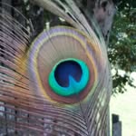 Angelo Alberti - @angelo.alberti.568 - Instagram