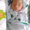 Angelo Albo - @angelo.albo4 - TikTok