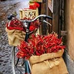 Angelo Di Albo - @angelodialbo - Instagram