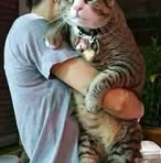 Angelo Quimson Albo - Facebook