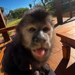 Angelo Alessandro - @vngelo_i - Instagram