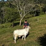 Angelo Alfaro Esquivel - @angeloalfaro12 - Instagram