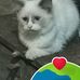 Angelo Algoso - Facebook