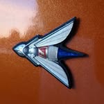 Angelo Alioto - @mrdr.hornet - Instagram