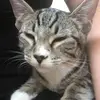 Angelo Almanza - @angelo.almanza - TikTok