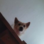 Angelo Alonzo - @loafboy_law - Instagram