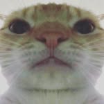 Angelo Alonzo - @angel.alonzo.798 - Instagram