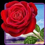 Angelo anastasio - @angeloanastasio7179 - Instagram