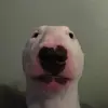 yoboi - @angeloandalanplaying1 - TikTok