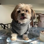 Mya Papaya Angelo Andrews - @mya_papaya140 - Instagram