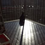 Angelo Anelli - @angelo642104 - Instagram